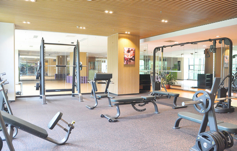 酒店健身房器材,高端健身房器材,室内健身器材-广西KS娱乐官网体育健身器材有限公司