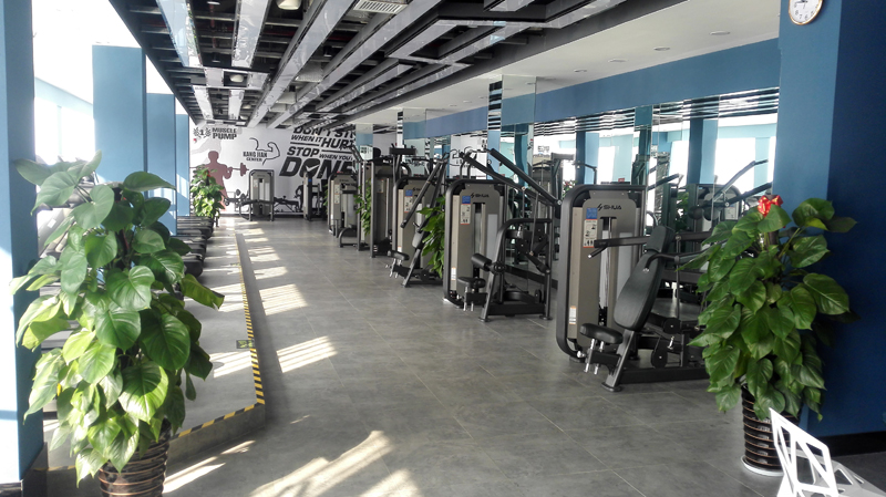 酒店健身房器材,高端健身房器材,室内健身器材-广西KS娱乐官网体育健身器材有限公司